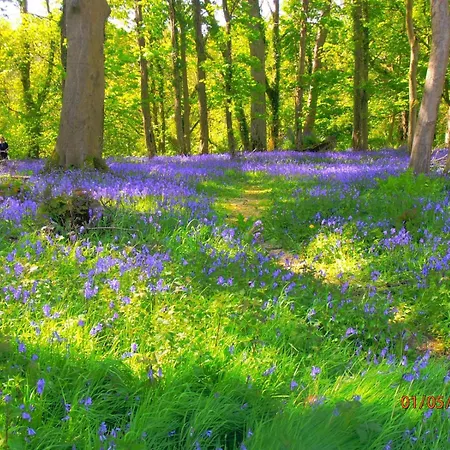 Apartman Kiln Cill Airne