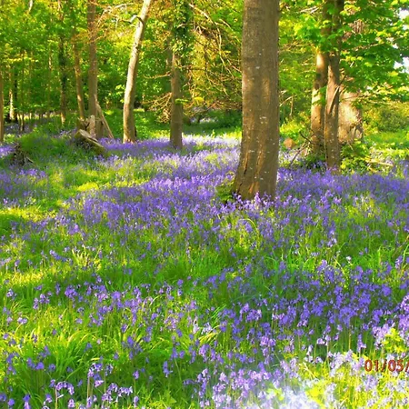 Kiln Lägenhet Cill Airne