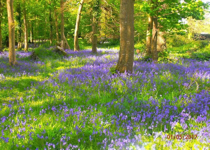 Kiln Apartment Killarney