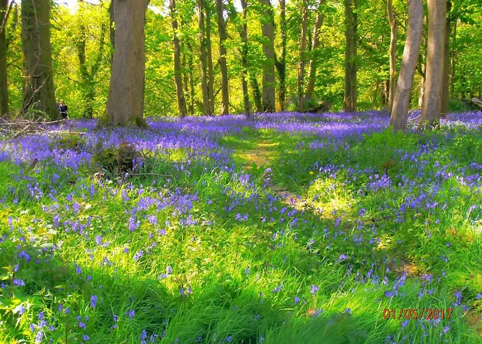 アパート Kiln キラーニー